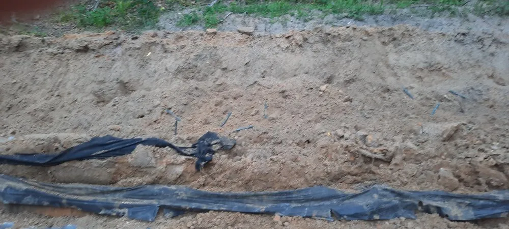 Affordable lawn care service experts serving Crystal River, FL - Backwoods Property Services