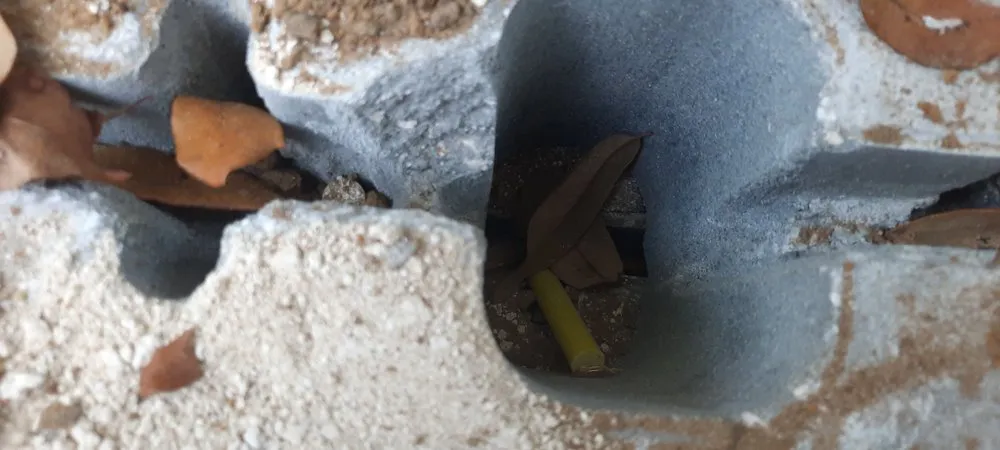 Custom yard cleanup service experts serving Crystal River, FL - Backwoods Property Services