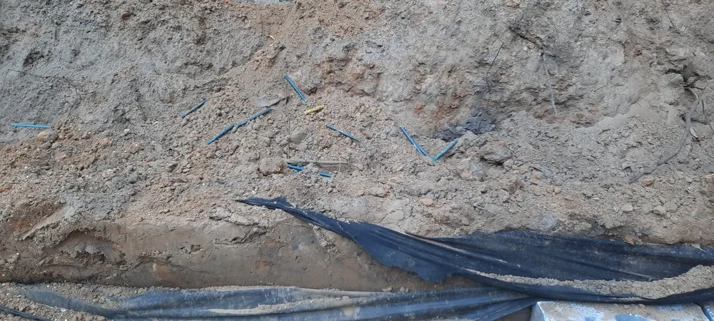 Local outdoor landscaping in Crystal River, FL by Backwoods Property Services