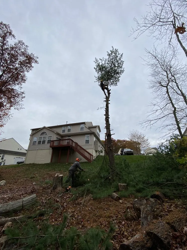 Expert landscaping services in Stroudsburg, PA by Backwoods Tree Service