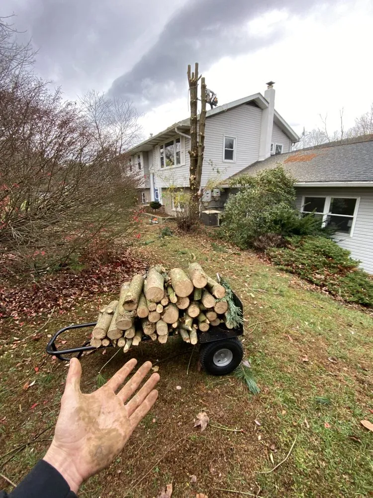 Professional residential landscaping in Stroudsburg, PA by Backwoods Tree Service