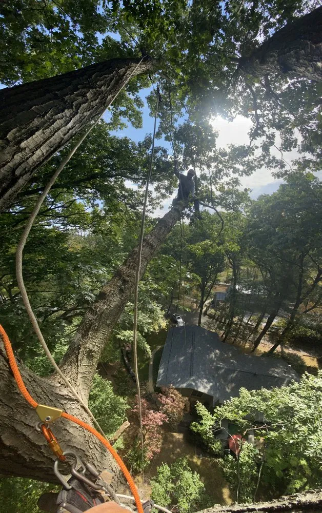 Affordable landscape installation with custom design in Stroudsburg, PA by Backwoods Tree Service