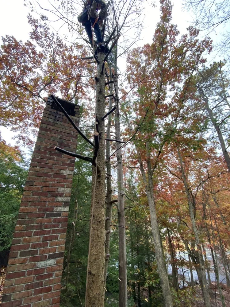 Local yard maintenance in Stroudsburg, PA - Backwoods Tree Service