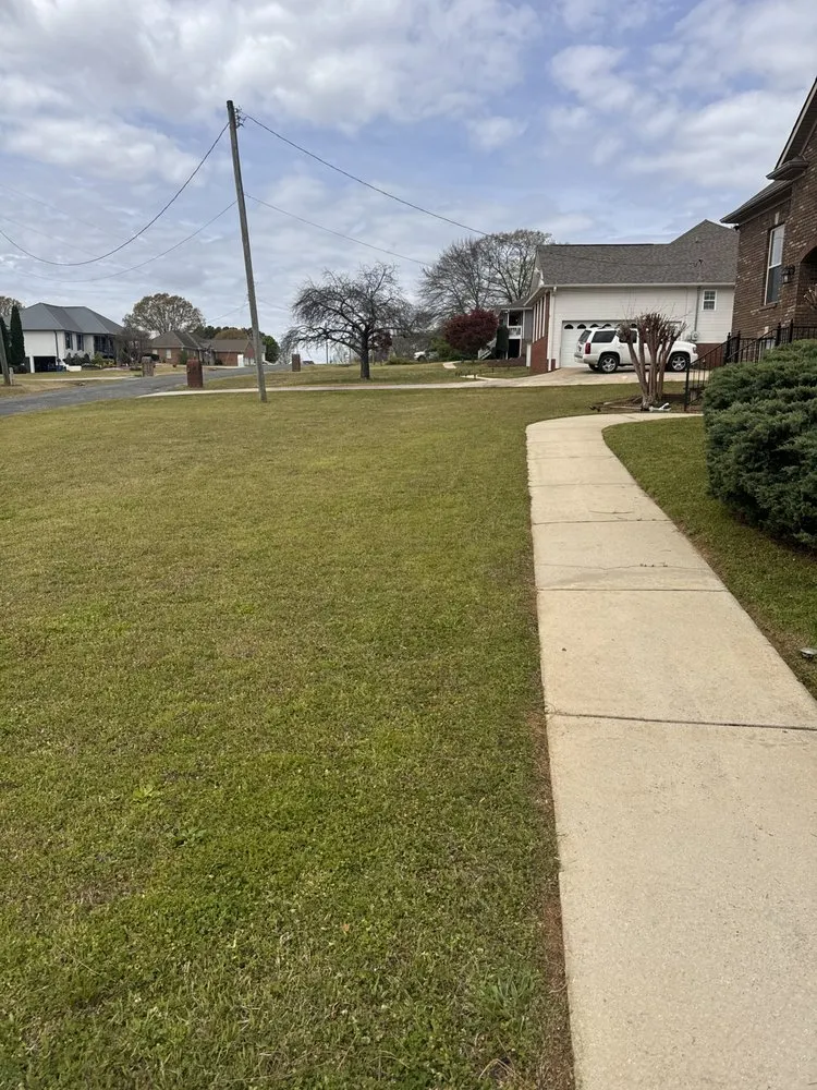 Reliable landscape installation in Oneonta, AL - Backwoodz Lawn Care