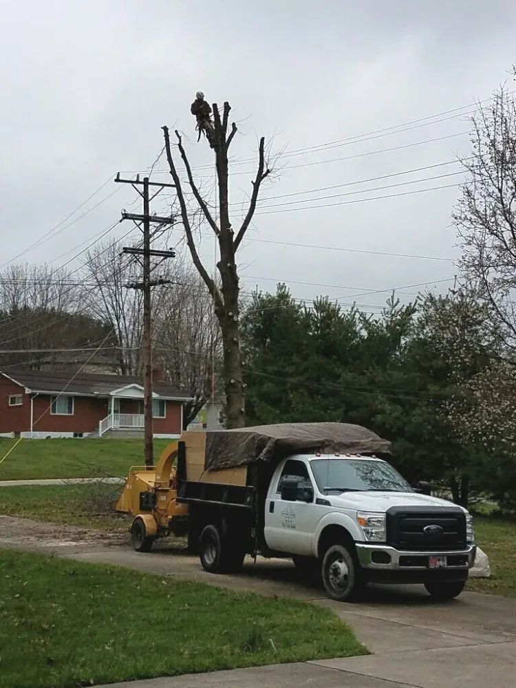 Reliable garden landscaping for year-round maintenance in Bentleyville, PA by Backyard & Beyond Tree Care