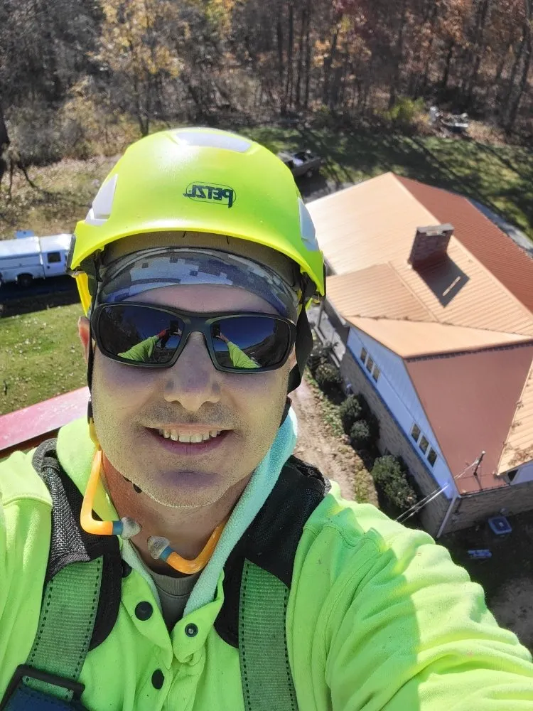 Professional lawn care service in Bentleyville, PA - Backyard & Beyond Tree Care