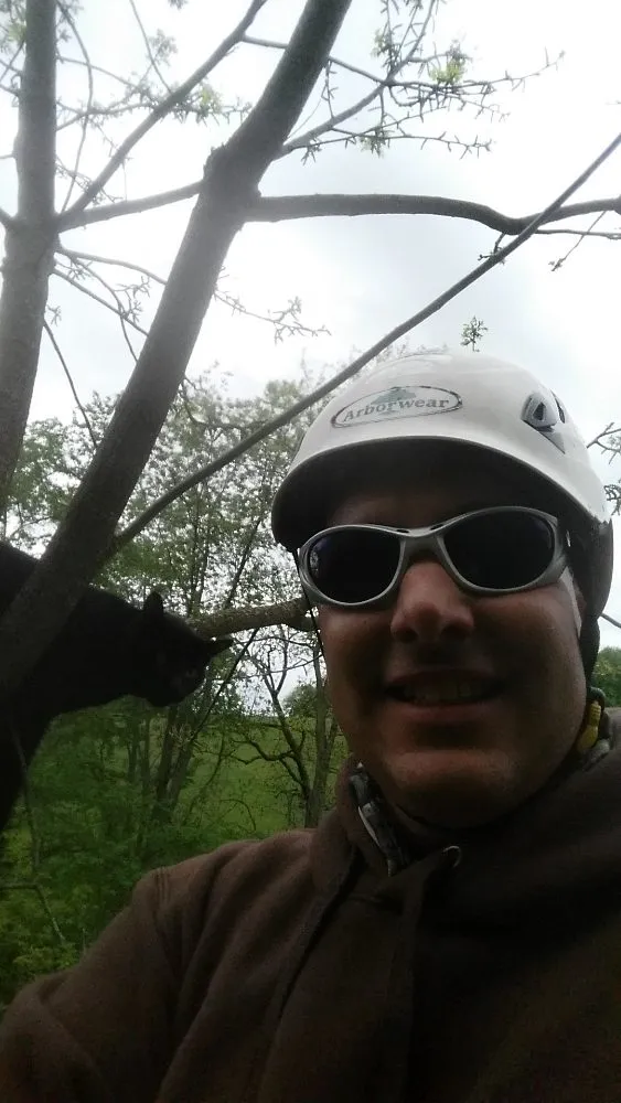 Local landscape installation in Bentleyville, PA by Backyard & Beyond Tree Care