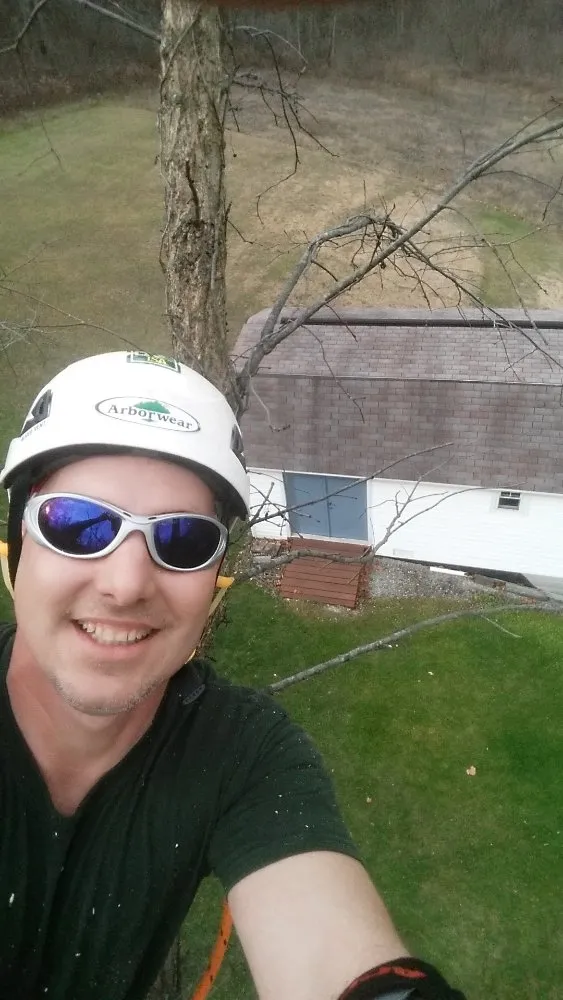 Expert yard cleanup service for beautiful yards across Bentleyville, PA - Backyard & Beyond Tree Care