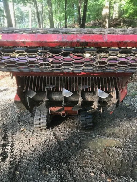 Custom yard cleanup service experts serving Morristown, NJ - Backyard Backup Service