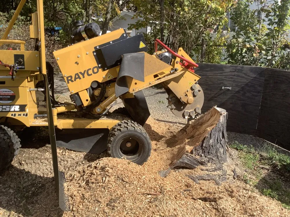 Custom lawn care service experts serving Morristown, NJ - Backyard Backup Service