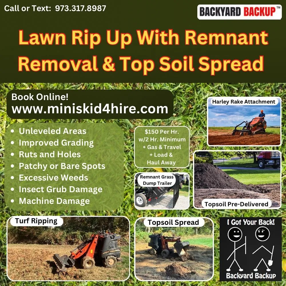 Affordable landscaping services for outdoor upgrades across Morristown, NJ - Backyard Backup Service