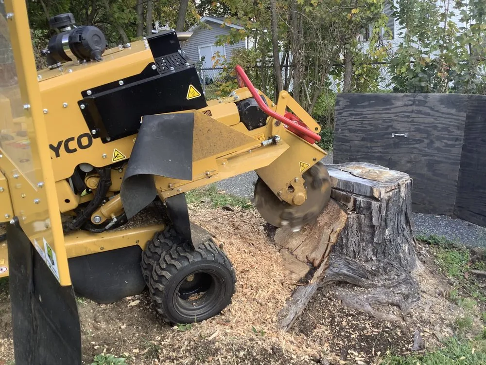 Top-rated garden landscaping in Morristown, NJ - Backyard Backup Service