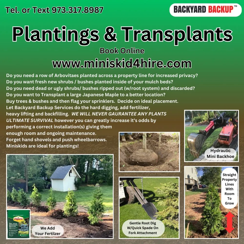 Affordable lawn care service for year-round maintenance in Morristown, NJ by Backyard Backup Service