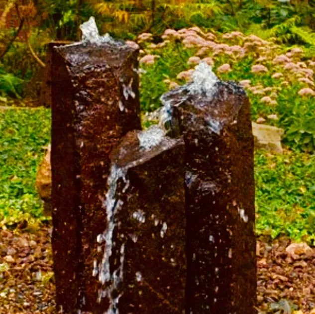 Expert yard maintenance in Bellevue, WA by Backyard Barbarians