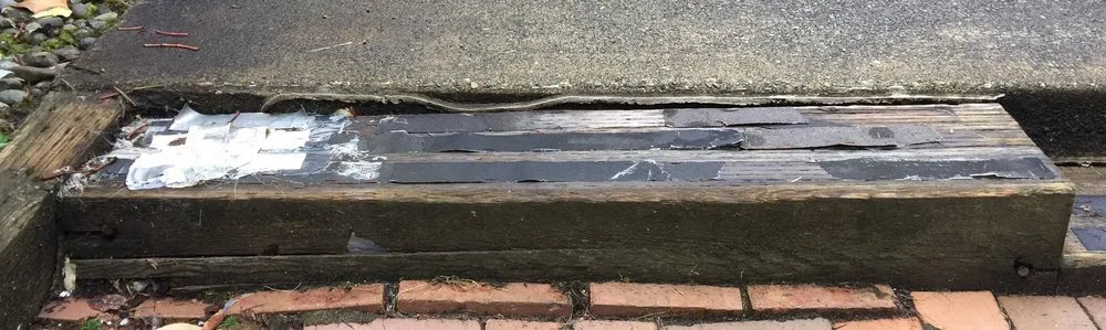 Expert yard cleanup service in Bellevue, WA - Backyard Barbarians