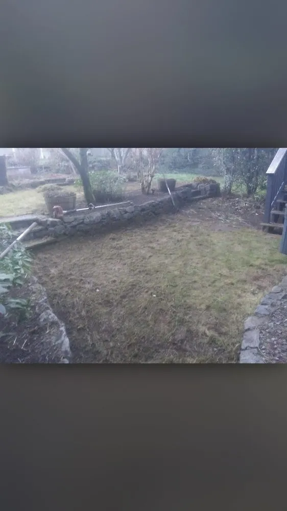 Professional yard maintenance for outdoor upgrades across Bellevue, WA - Backyard Barbarians