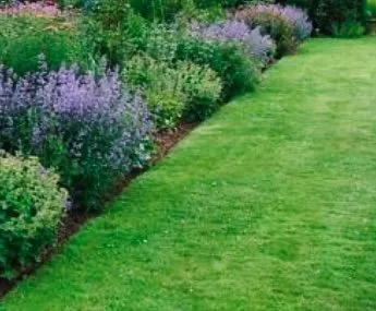 Affordable landscape installation in Bellevue, WA by Backyard Barbarians