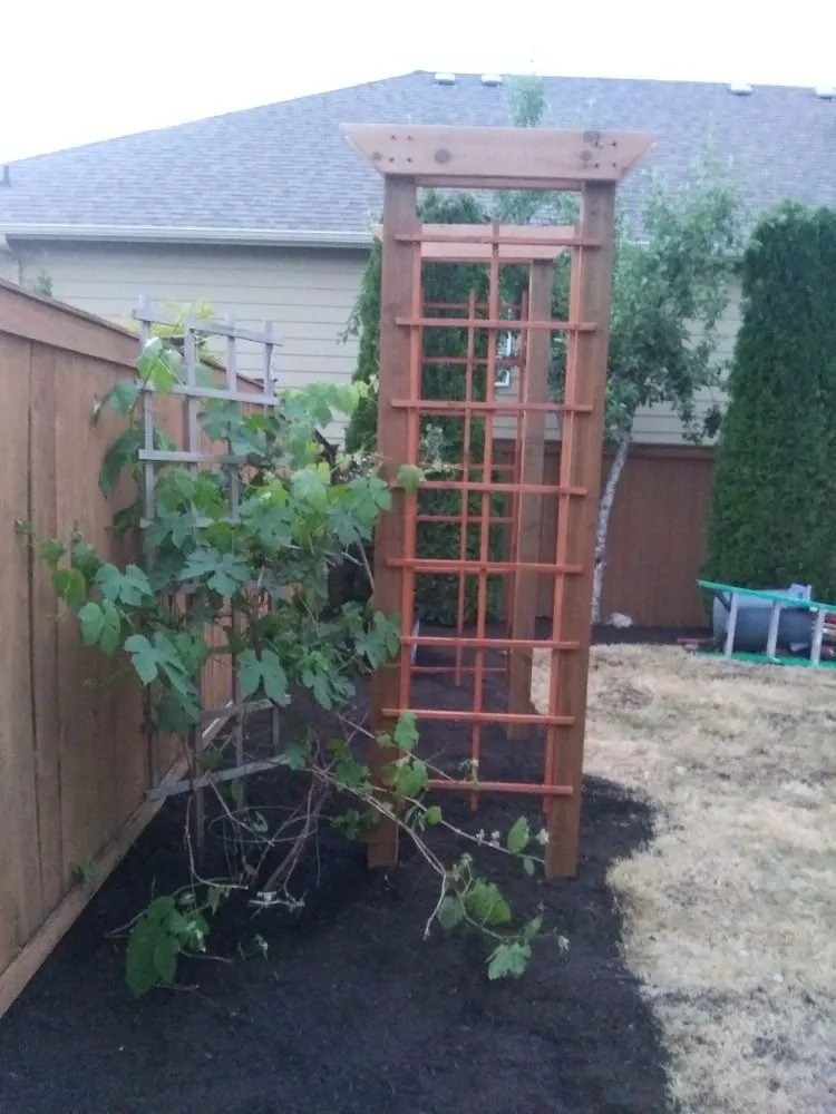 Local landscape installation experts serving Bellevue, WA - Backyard Barbarians