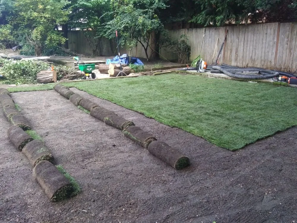 Top-rated landscape installation in Bellevue, WA - Backyard Barbarians