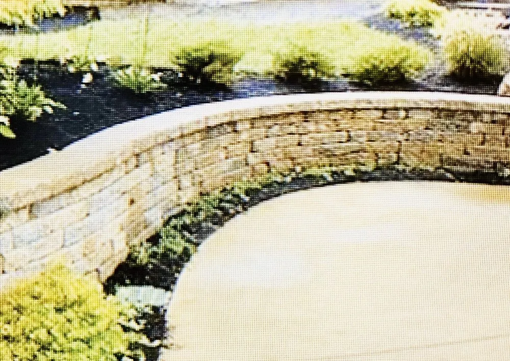 Professional landscape design in Bellevue, WA - Backyard Barbarians