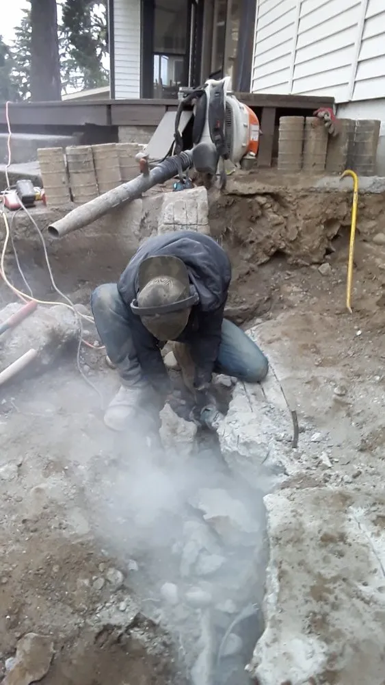 Professional landscape design with custom design across Bellevue, WA - Backyard Barbarians