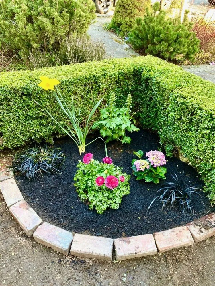 Professional yard maintenance experts serving Bellevue, WA - Backyard Barbarians