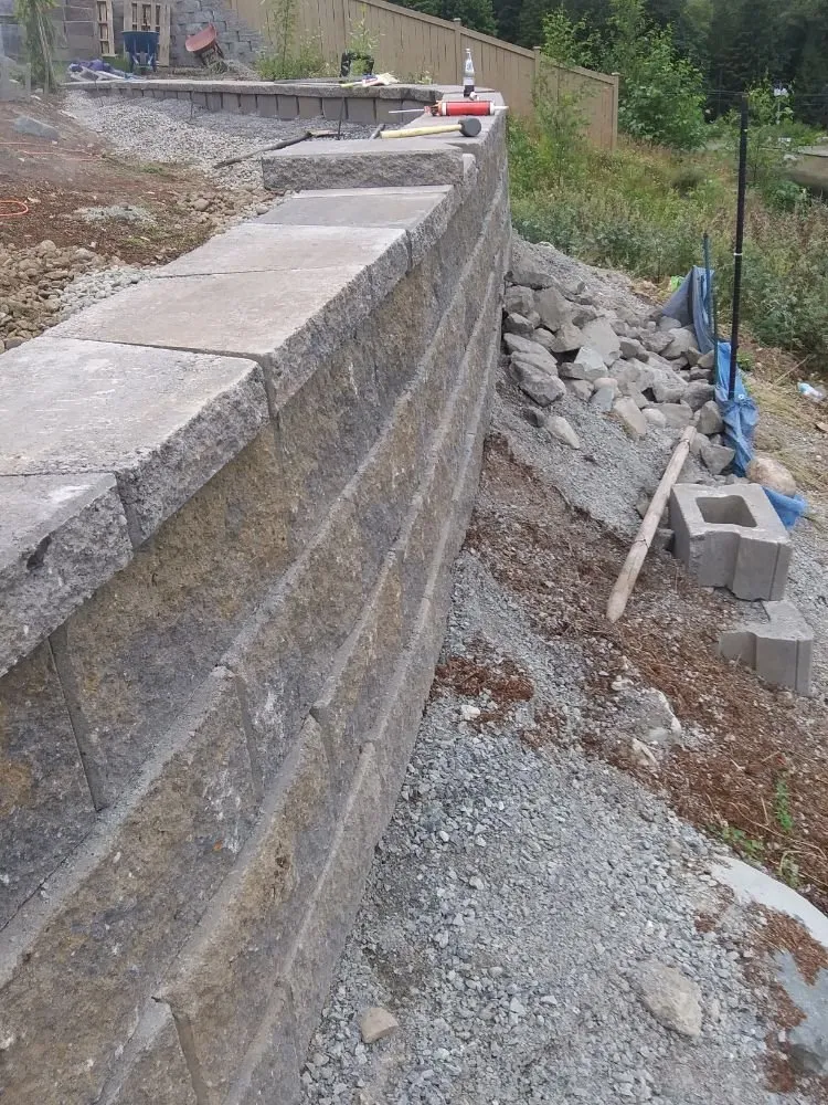 Reliable garden landscaping in Bellevue, WA - Backyard Barbarians