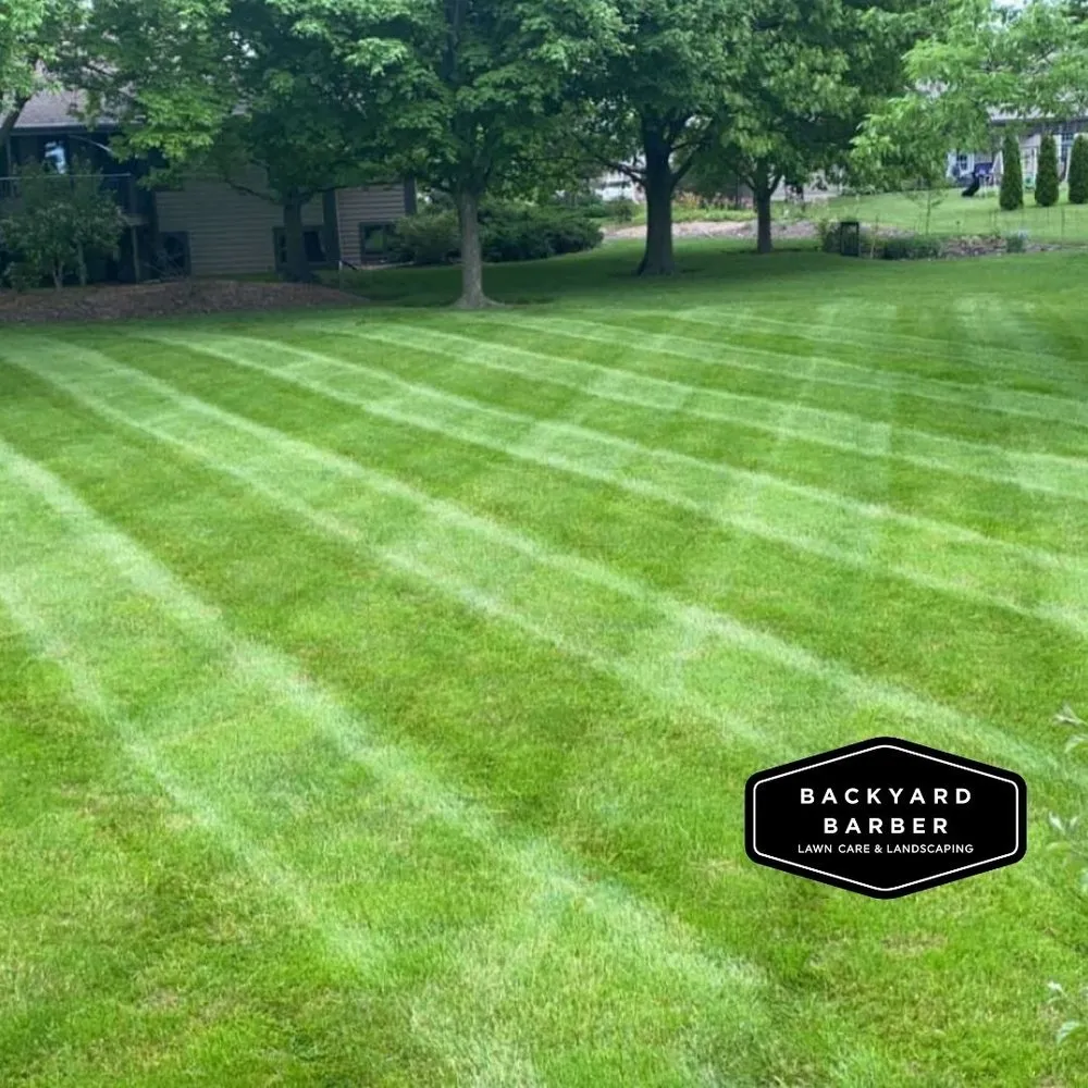 Professional landscaping services in Quincy, IL by Backyard Barber Lawn Care And Landscaping