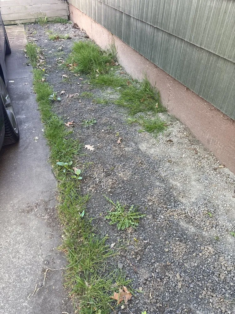 Local yard cleanup service in Longview, WA - Backyard Blitz