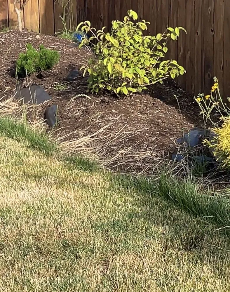 Local lawn care service in Longview, WA by Backyard Blitz