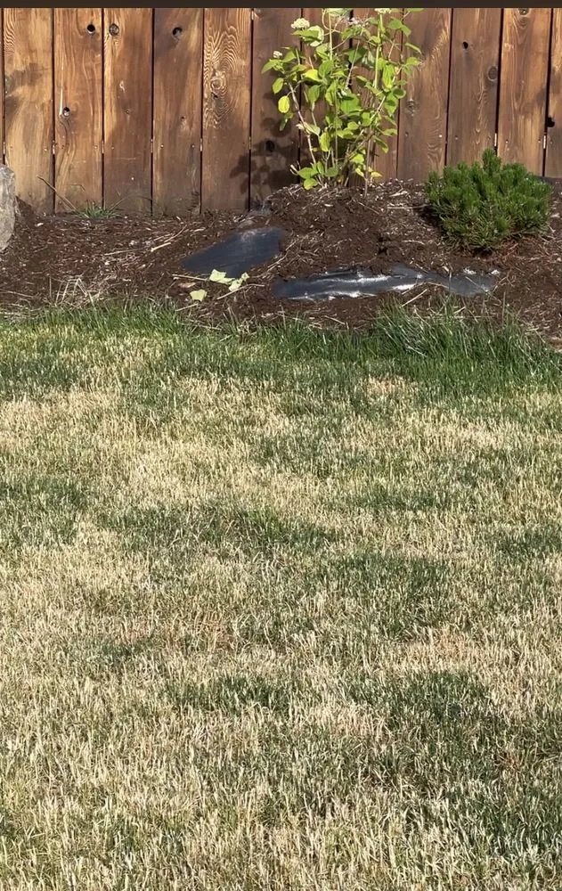 Custom landscaping services near you in Longview, WA by Backyard Blitz