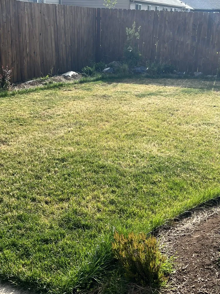 Reliable residential landscaping for outdoor upgrades in Longview, WA by Backyard Blitz