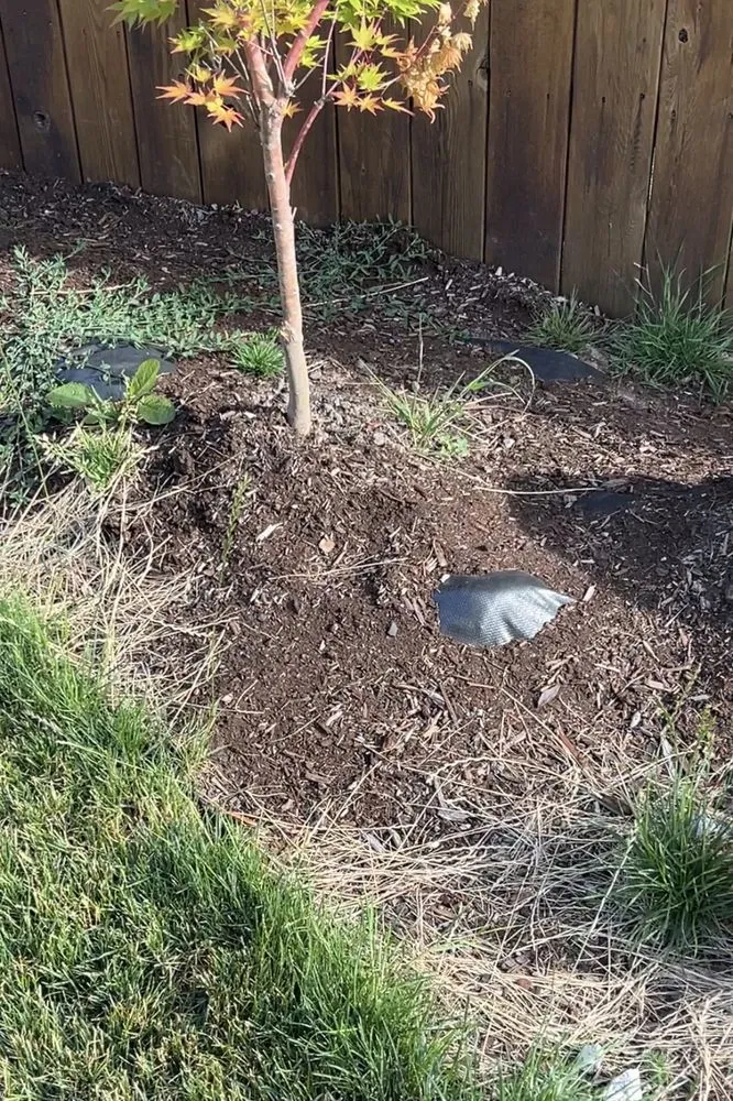 Affordable garden landscaping in Longview, WA by Backyard Blitz