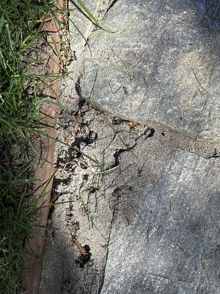 Professional yard maintenance near you in Longview, WA by Backyard Blitz