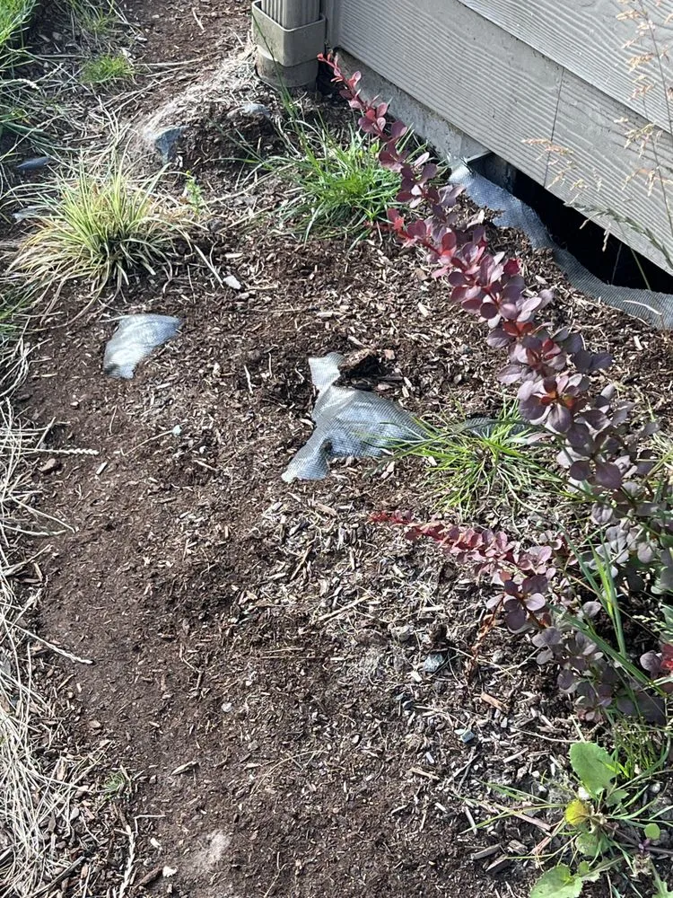 Professional lawn care service in Longview, WA by Backyard Blitz