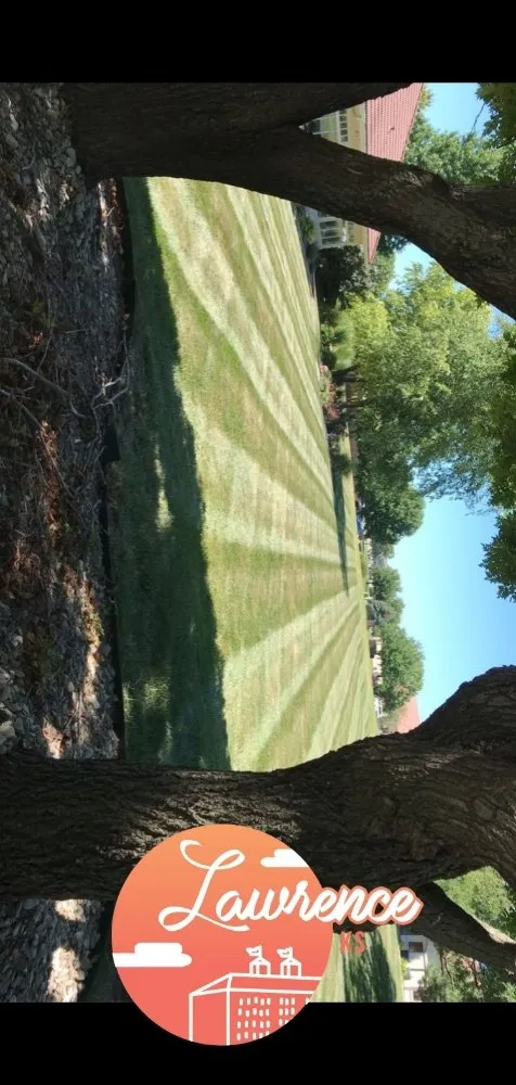 Expert yard maintenance experts serving Topeka, KS - Backyard Boss