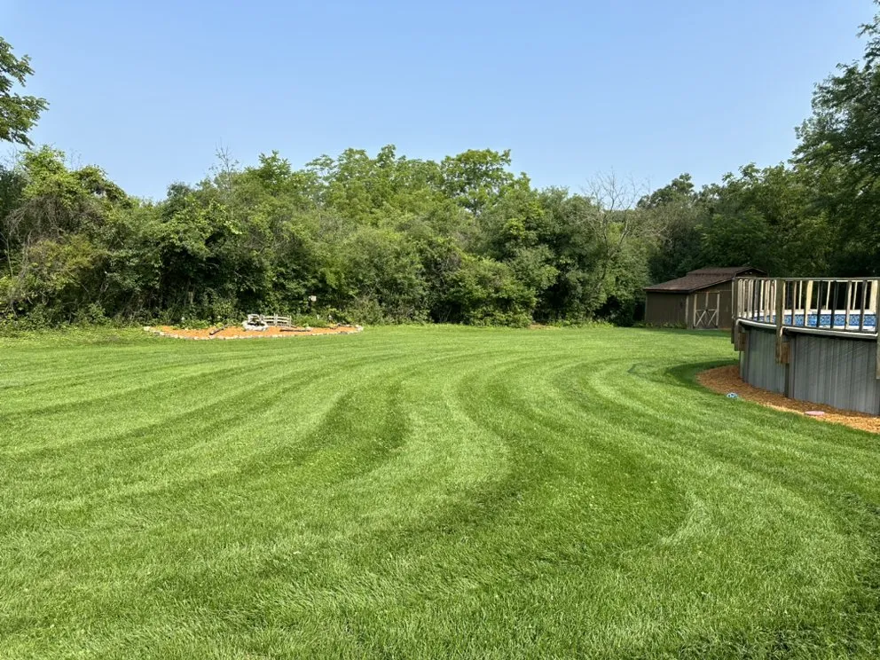 Expert yard maintenance in Tinley Park, IL by Backyard Boys Lawn Care