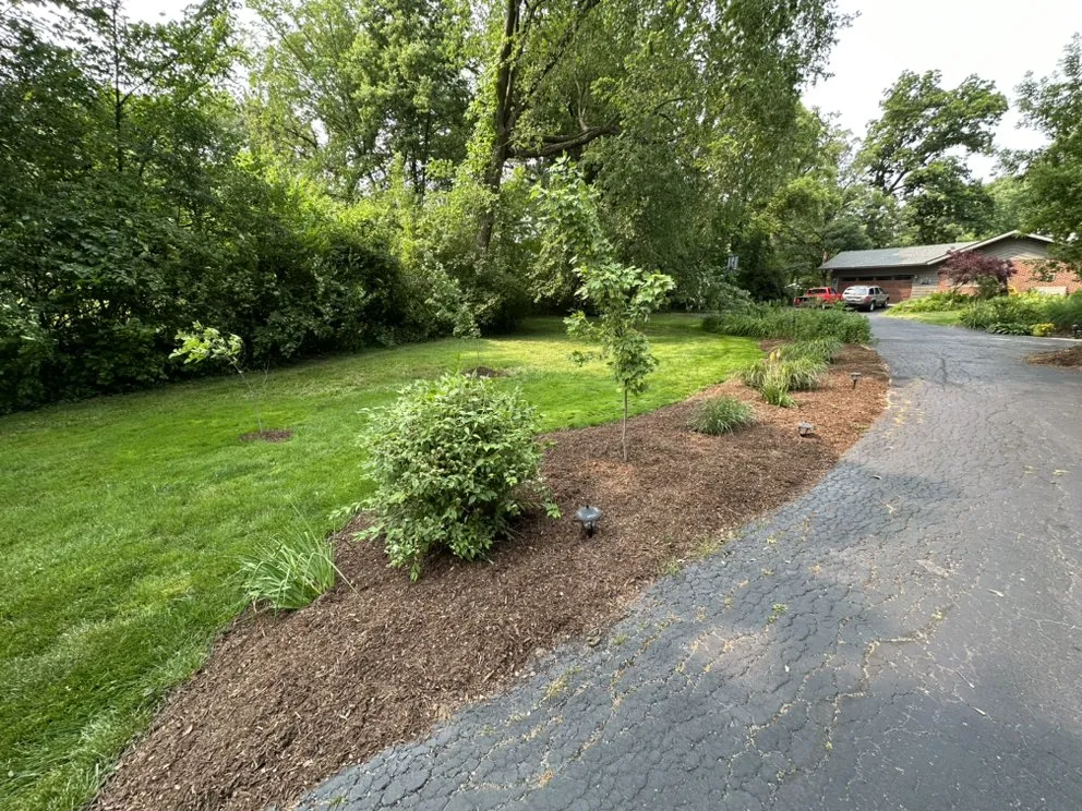 Professional residential landscaping in Tinley Park, IL - Backyard Boys Lawn Care