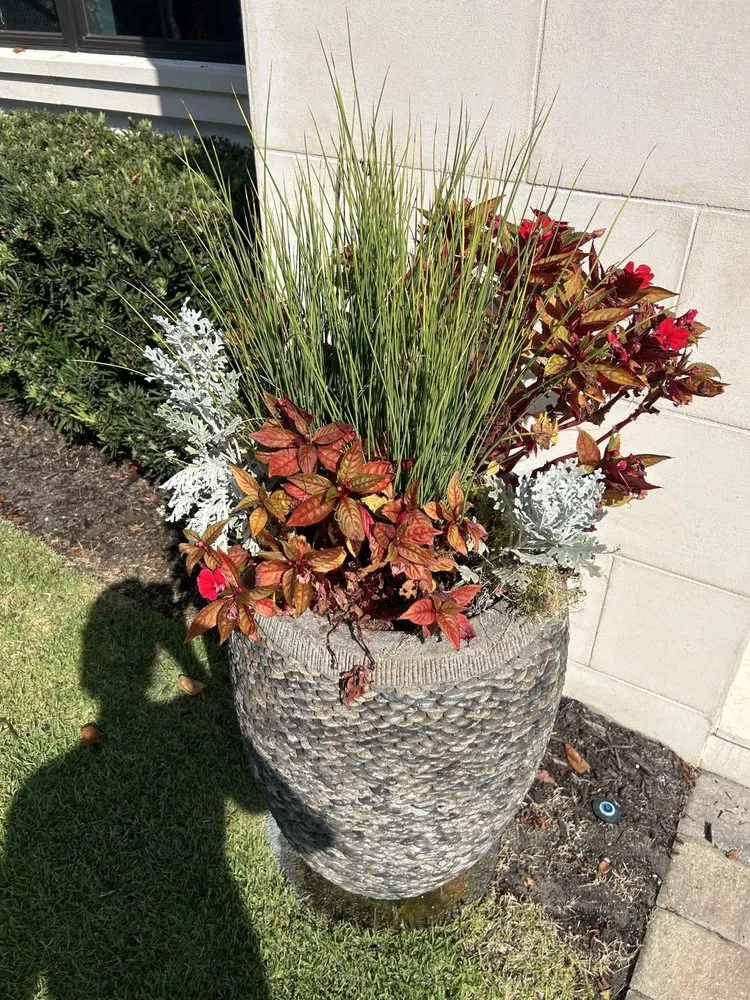 Professional lawn care service for year-round maintenance in Naples, FL by Backyard Boys