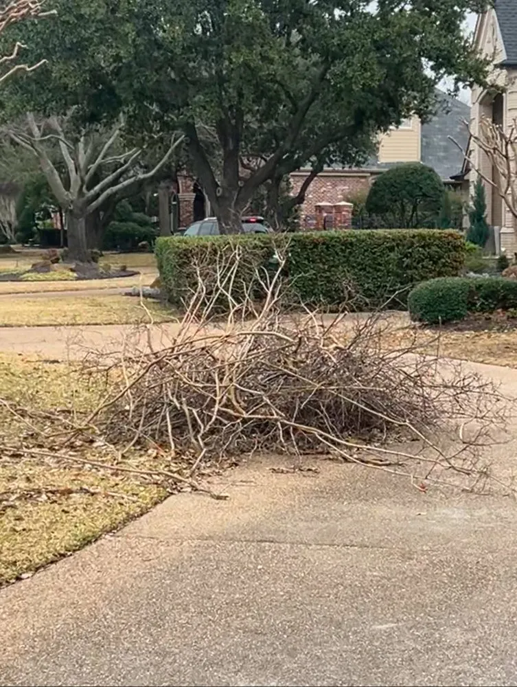 Expert yard maintenance with custom design in Grapevine, TX by Backyard Boys Outdoor Contracting