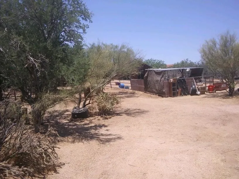 Expert landscape installation with custom design in Phoenix, AZ by Backyard Boyz