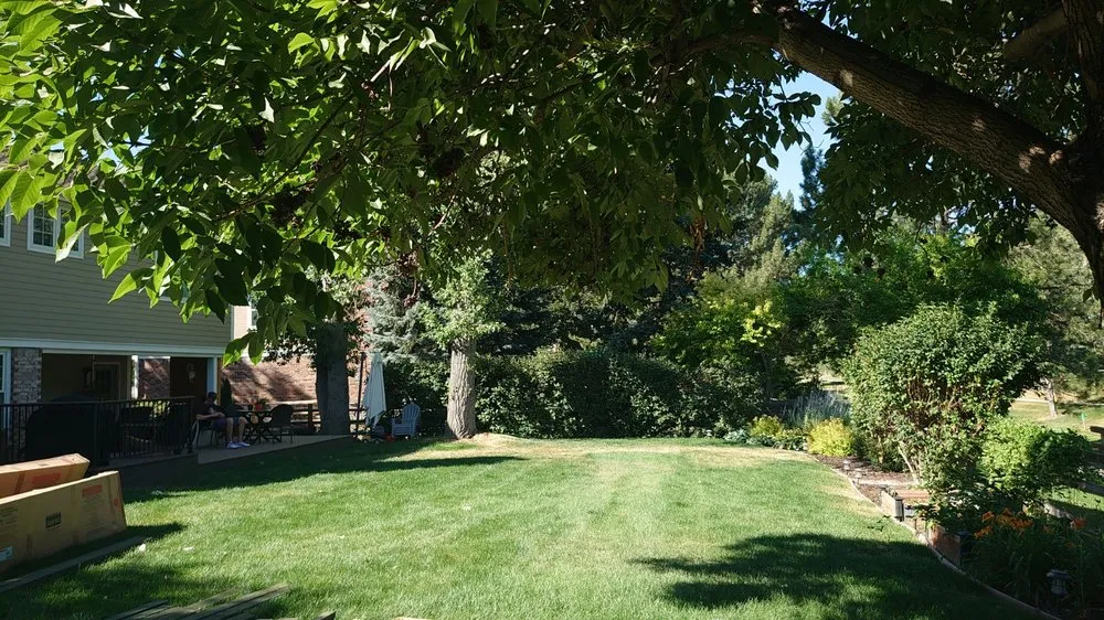 Custom garden landscaping for year-round maintenance across Littleton, CO - Backyard Bros