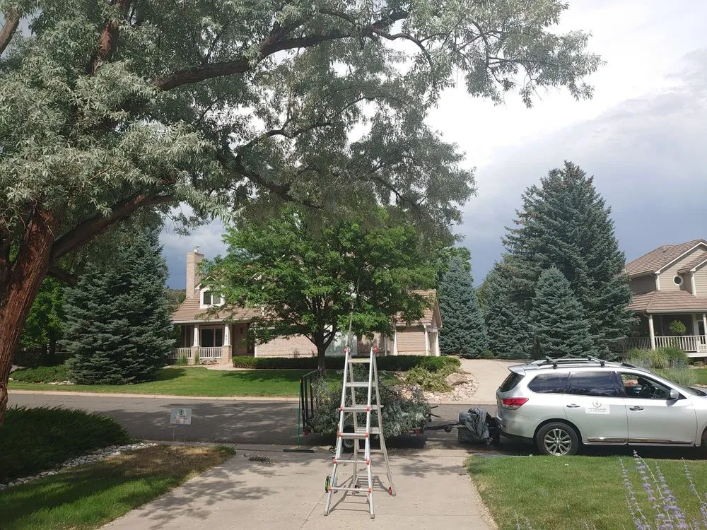 Reliable lawn care service in Littleton, CO by Backyard Bros