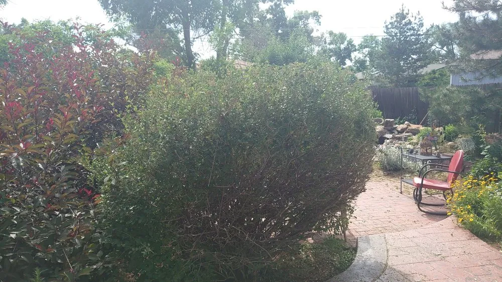 Top-rated outdoor landscaping for beautiful yards in Littleton, CO by Backyard Bros