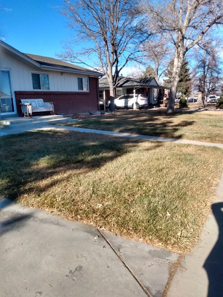 Affordable yard cleanup service near you in Littleton, CO by Backyard Bros