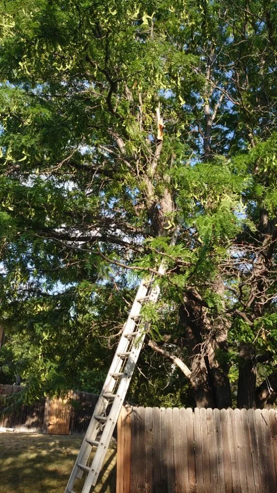 Top-rated yard maintenance for beautiful yards in Littleton, CO by Backyard Bros