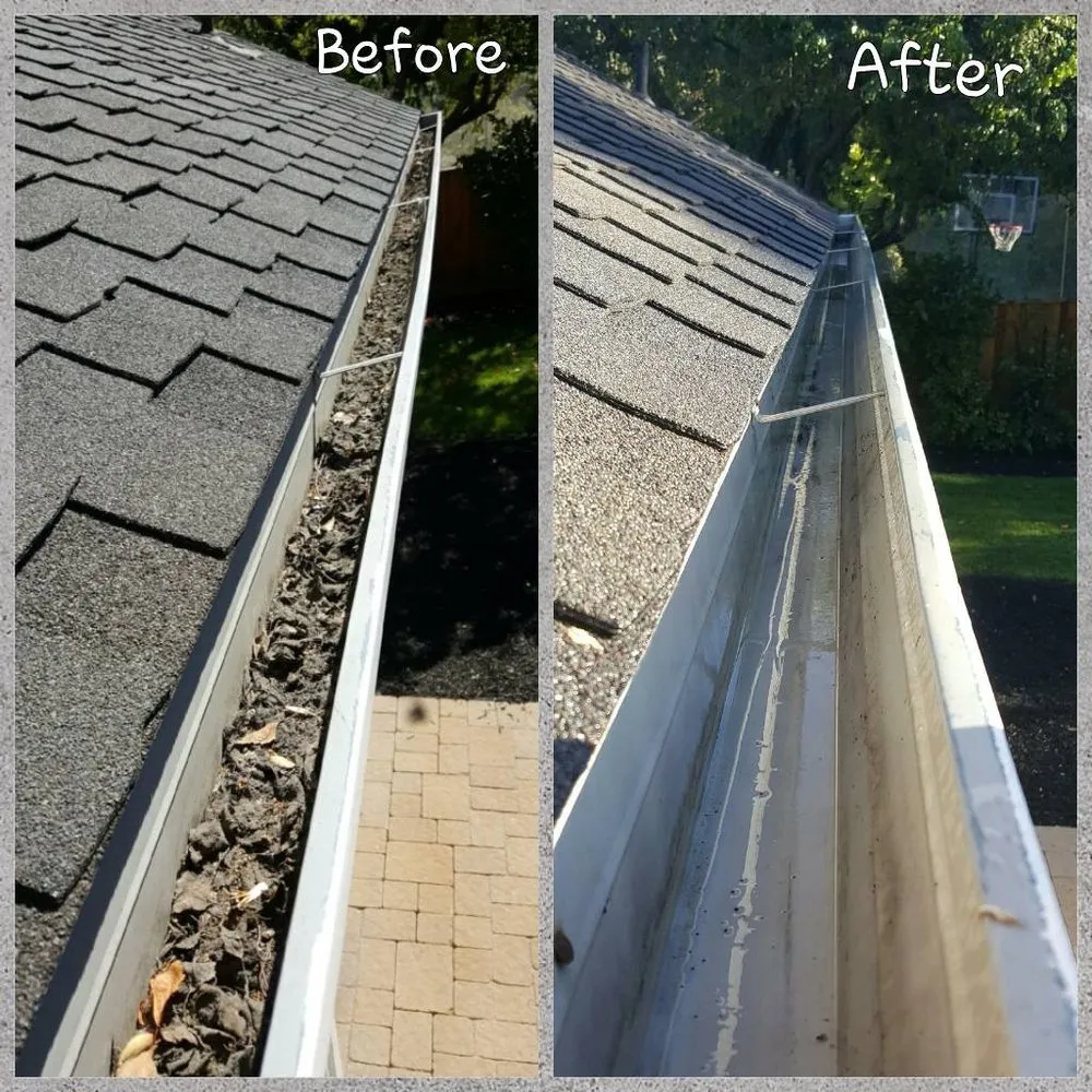 Reliable landscape design for year-round maintenance in Littleton, CO by Backyard Bros