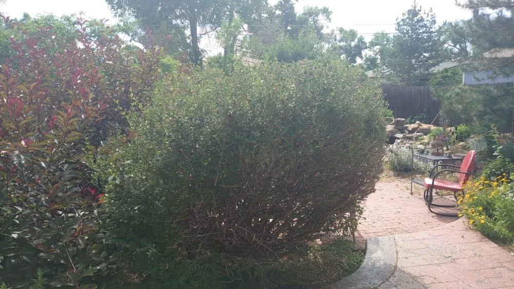 Custom landscaping services for homes in Littleton, CO by Backyard Bros