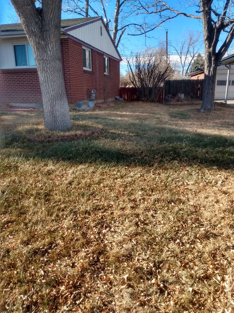 Professional landscape installation experts serving Littleton, CO - Backyard Bros