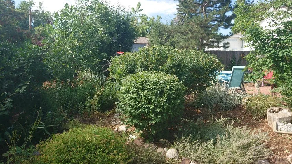 Reliable lawn care service experts serving Littleton, CO - Backyard Bros